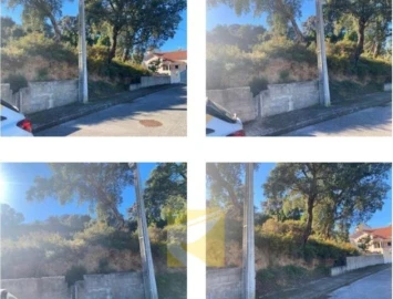 Terreno para Venda em Chamusca e Pinheiro Grande