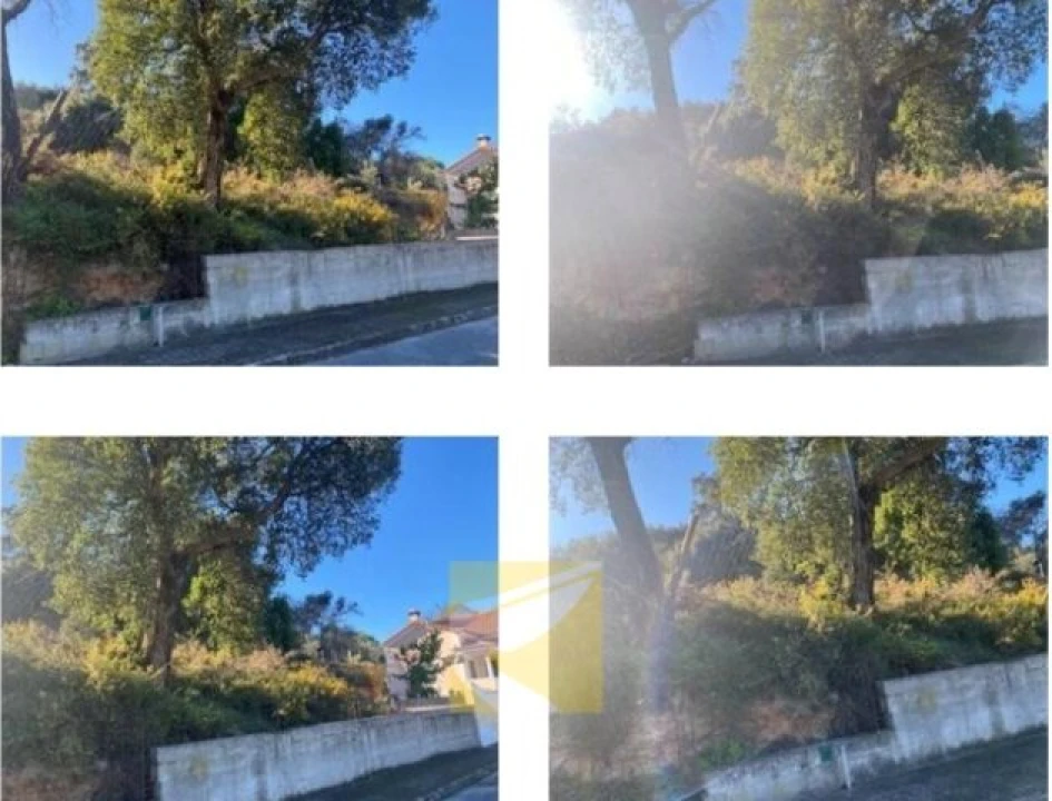 Terreno para Venda em Chamusca e Pinheiro Grande Foto 2