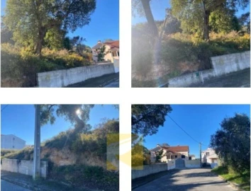 Terreno para Venda em Chamusca e Pinheiro Grande