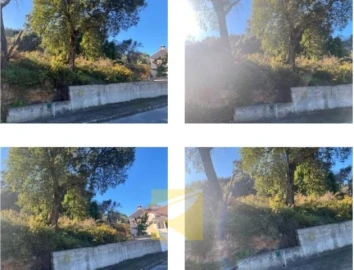 Terreno para Venda em Chamusca e Pinheiro Grande