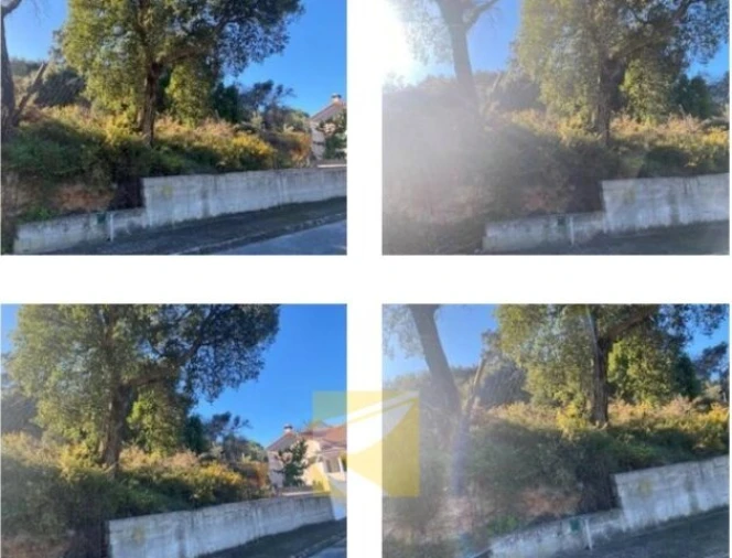 Terreno para Venda em Chamusca e Pinheiro Grande Foto 2