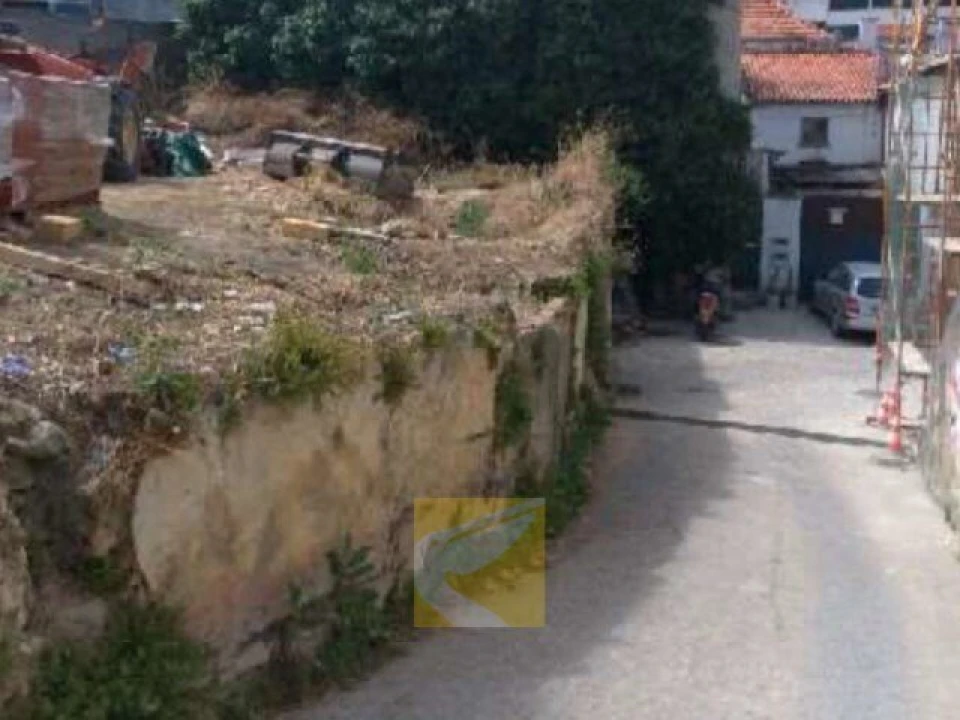 Terreno para Venda em Torres Novas (Santa Maria, Salvador e Santiago) Foto 3