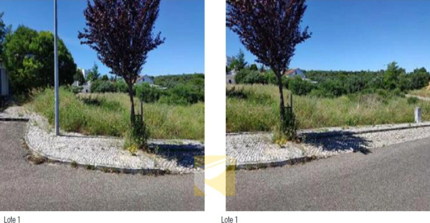 Terreno para Venda em Alcanena e Vila Moreira Foto 1