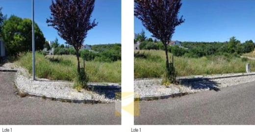 Terreno para Venda em Alcanena e Vila Moreira