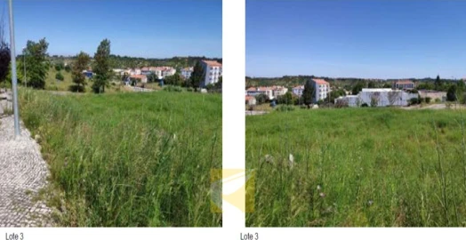 Terreno para Venda em Alcanena e Vila Moreira