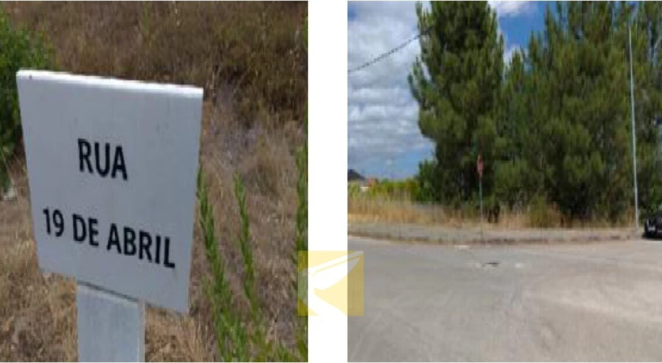 Terreno para Venda em Meia Via Foto 1