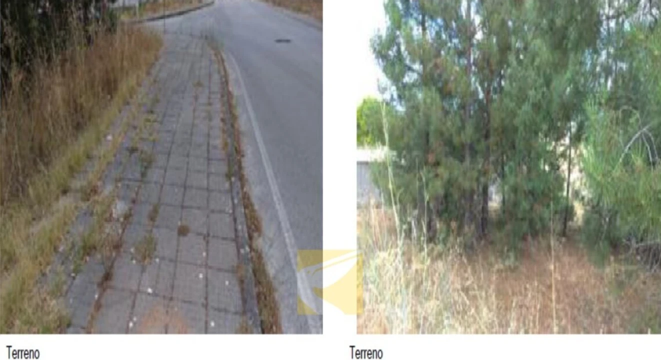 Terreno para Venda em Meia Via Foto 3