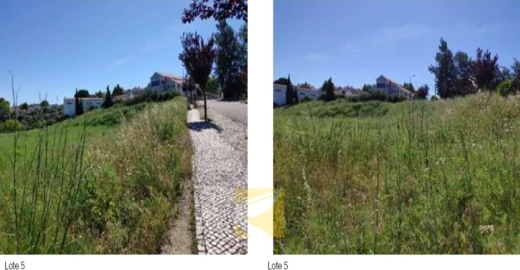 Terreno para Venda em Alcanena e Vila Moreira