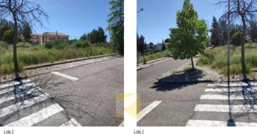 Terreno para Venda em Alcanena e Vila Moreira