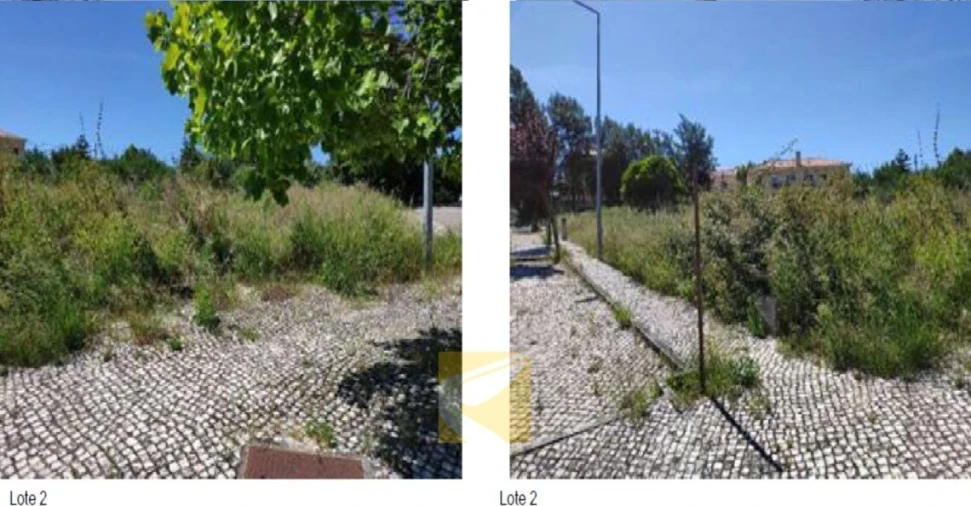 Terreno para Venda em Alcanena e Vila Moreira Foto 2