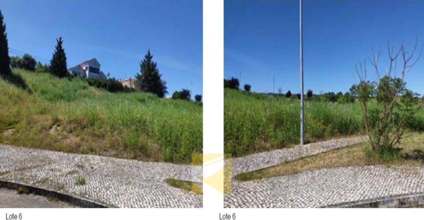 Terreno para Venda em Alcanena e Vila Moreira Foto 1