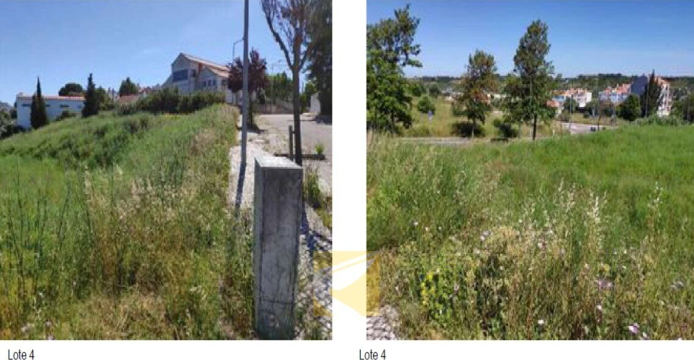 Terreno para Venda em Alcanena e Vila Moreira Foto 1