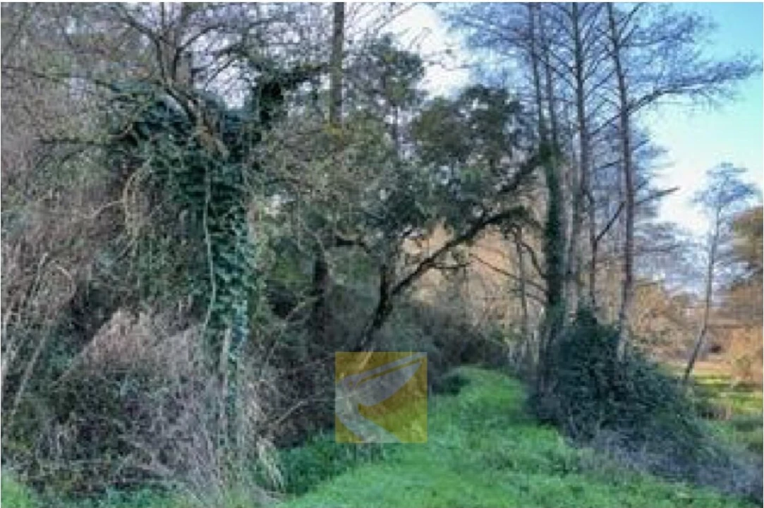 Terreno para Venda em Urqueira Foto 1