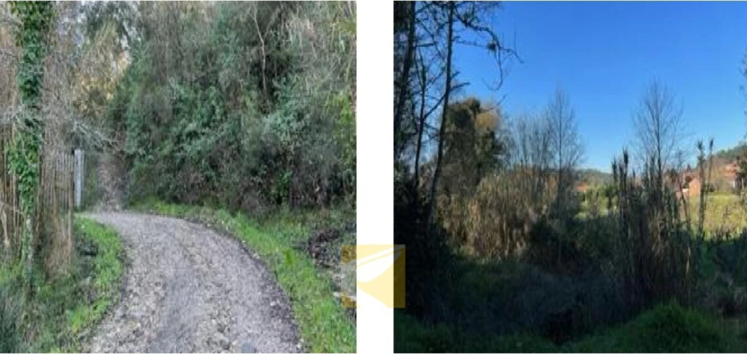 Terreno para Venda em Urqueira Foto 2