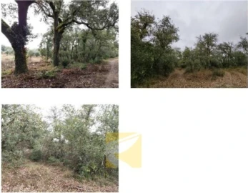 Terreno para Venda em Cumeeira