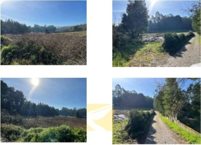 Terreno para Venda em Bougado (São Martinho e Santiago)