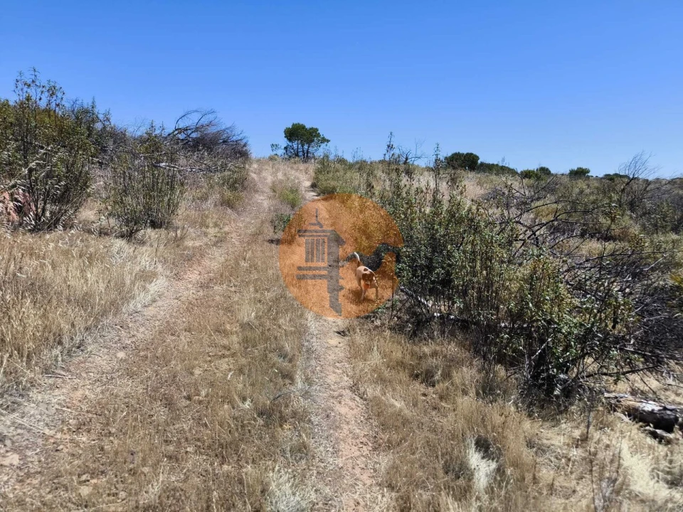 Terreno para Venda em Vila Nova de Cacela Foto 23
