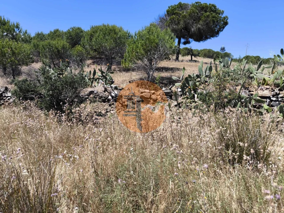 Terreno para Venda em Vila Nova de Cacela Foto 27