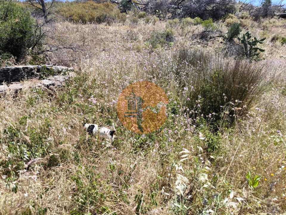 Terreno para Venda em Vila Nova de Cacela Foto 28