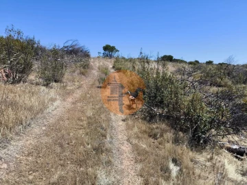 Terreno para Venda em Vila Nova de Cacela