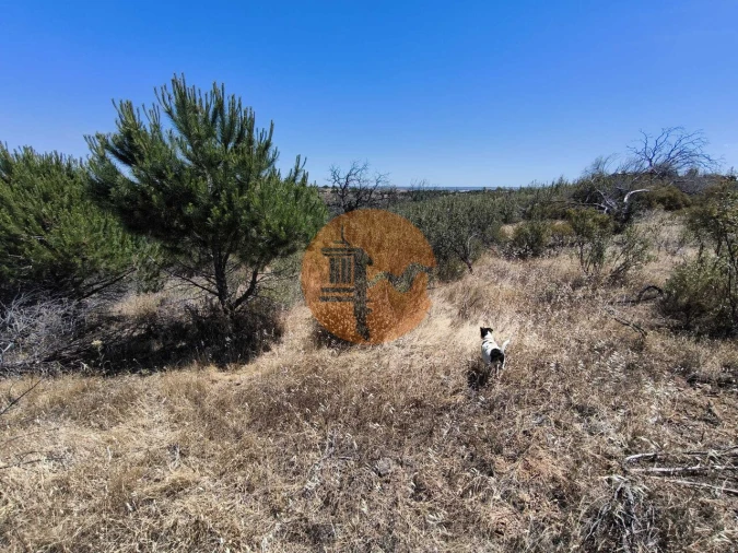 Terreno para Venda em Vila Nova de Cacela Foto 12