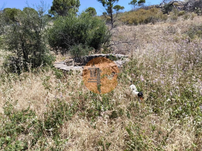 Terreno para Venda em Vila Nova de Cacela Foto 21