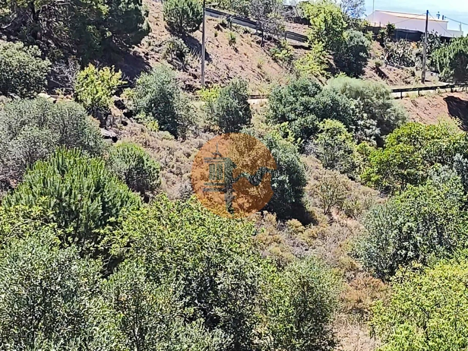 Terreno para Venda em Altura Foto 4