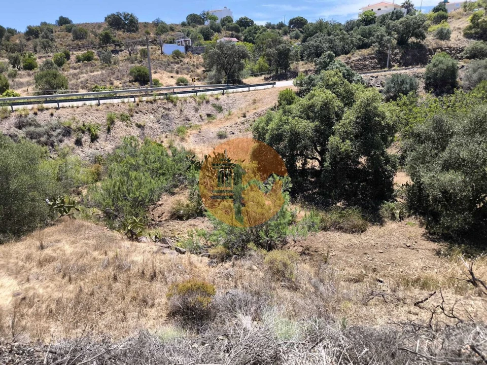 Terreno para Venda em Altura Foto 9