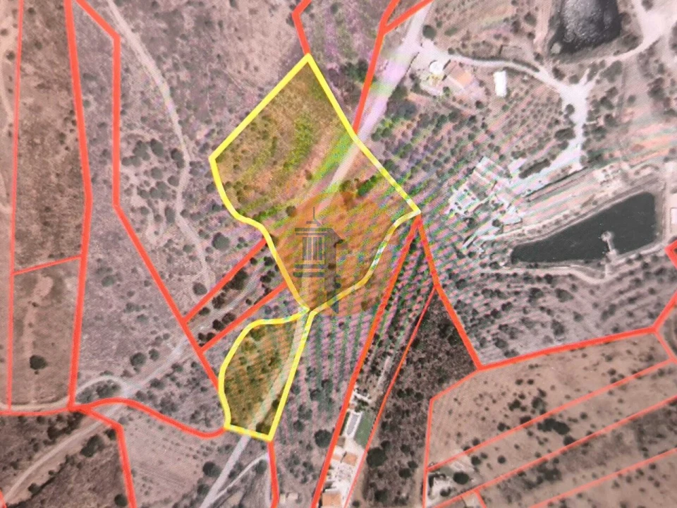 Terreno para Venda em Altura Foto 16