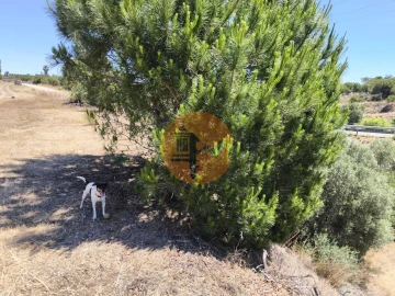 Terreno para Venda em Altura