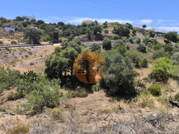 Terreno para Venda em Altura