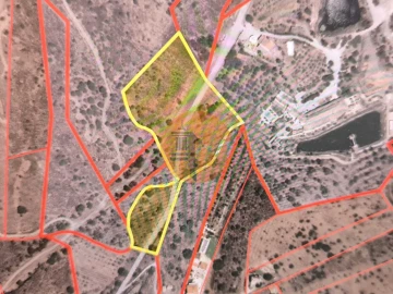 Terreno para Venda em Altura
