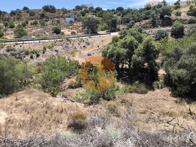 Terreno para Venda em Altura Foto 9