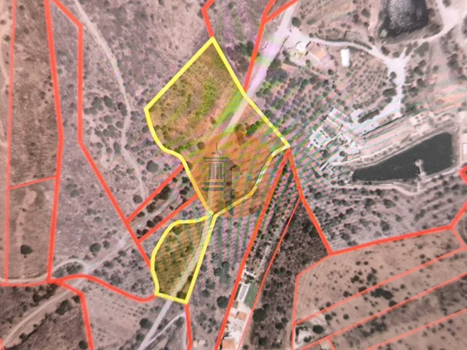 Terreno para Venda em Altura Foto 16