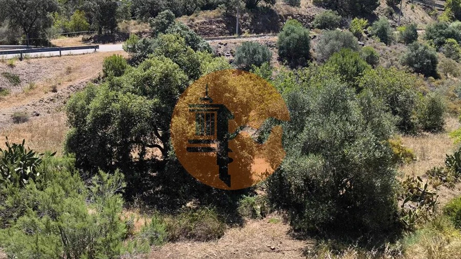 Terreno para Venda em Altura