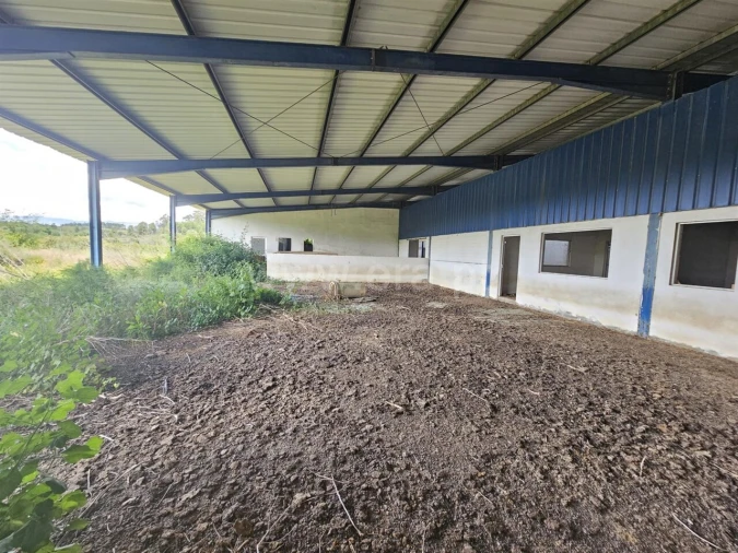 Quinta T3 para Venda em Orca Foto 6