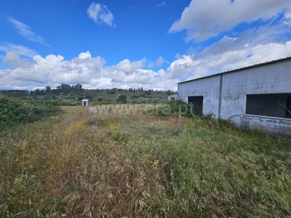 Quinta T3 para Venda em Orca Foto 5