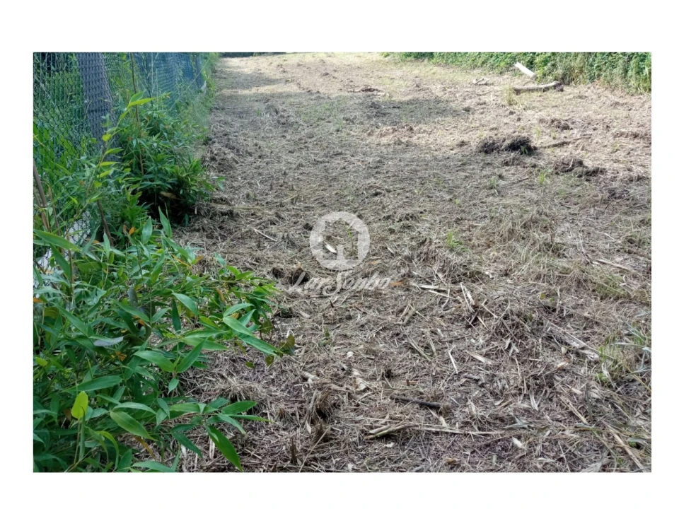 Terreno para Venda em Vila de Prado Foto 7