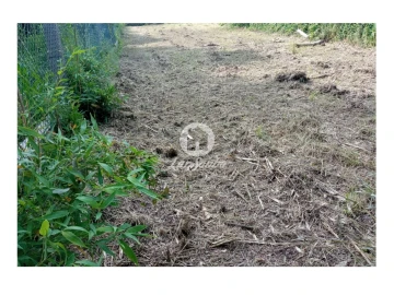Terreno para Venda em Vila de Prado