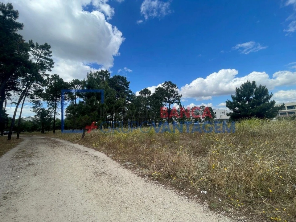 Terreno P/ Prédio para Venda em Azeitão (São Lourenço e São Simão) Foto 1