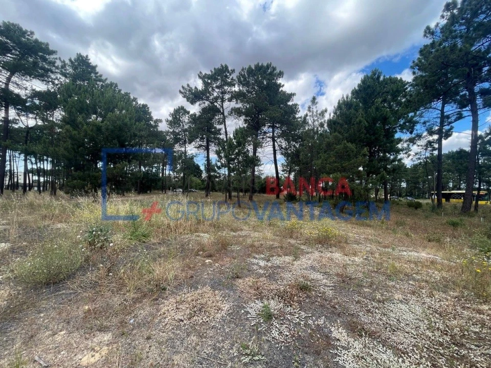 Terreno P/ Prédio para Venda em Azeitão (São Lourenço e São Simão) Foto 3
