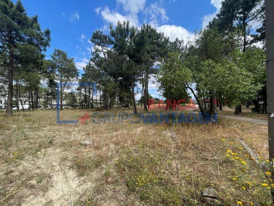 Terreno P/ Prédio para Venda em Azeitão (São Lourenço e São Simão) Foto 7