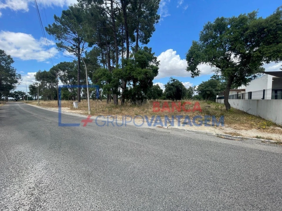 Terreno P/ Prédio para Venda em Azeitão (São Lourenço e São Simão) Foto 11