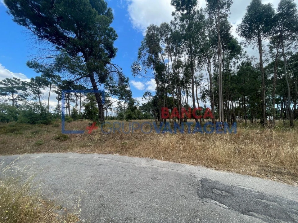 Terreno P/ Prédio para Venda em Azeitão (São Lourenço e São Simão) Foto 14