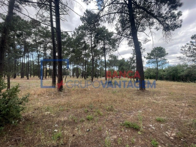 Terreno P/ Prédio para Venda em Azeitão (São Lourenço e São Simão) Foto 4