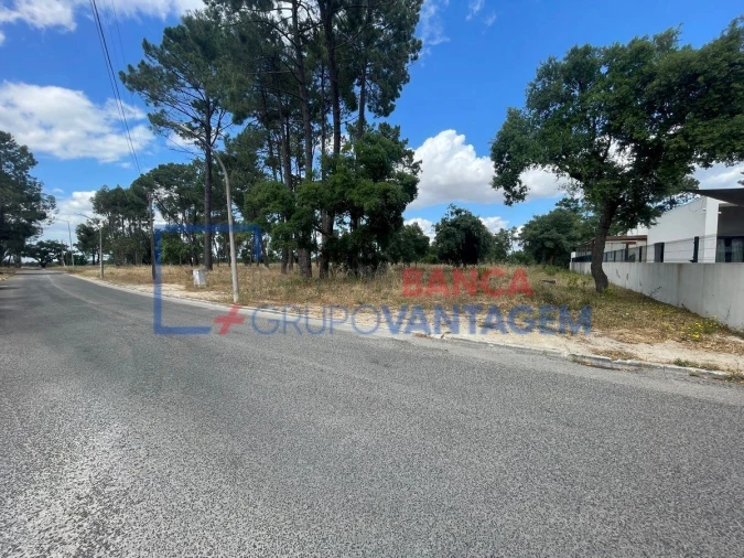 Terreno P/ Prédio para Venda em Azeitão (São Lourenço e São Simão) Foto 11
