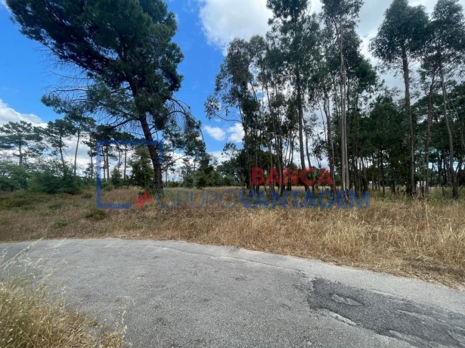 Terreno P/ Prédio para Venda em Azeitão (São Lourenço e São Simão) Foto 14