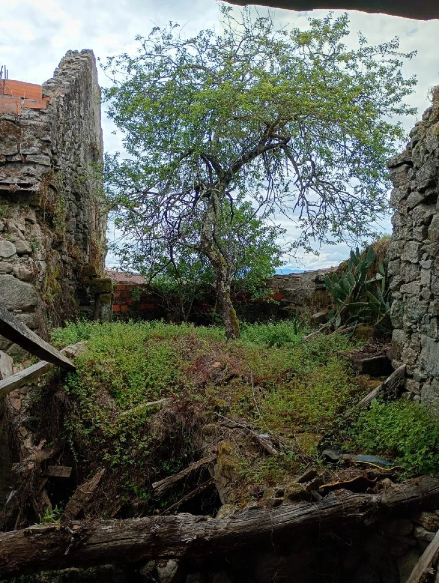 Moradia T2 para Venda em Cunha Baixa Foto 7