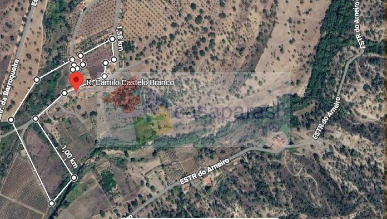 Terreno para Venda em Ponte de Sor, Tramaga e Vale de Açor Foto 1