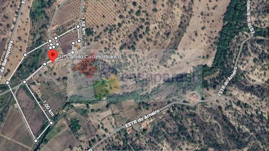 Terreno para Venda em Ponte de Sor, Tramaga e Vale de Açor
